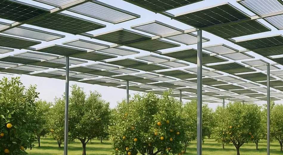 Innovación agrovoltaica