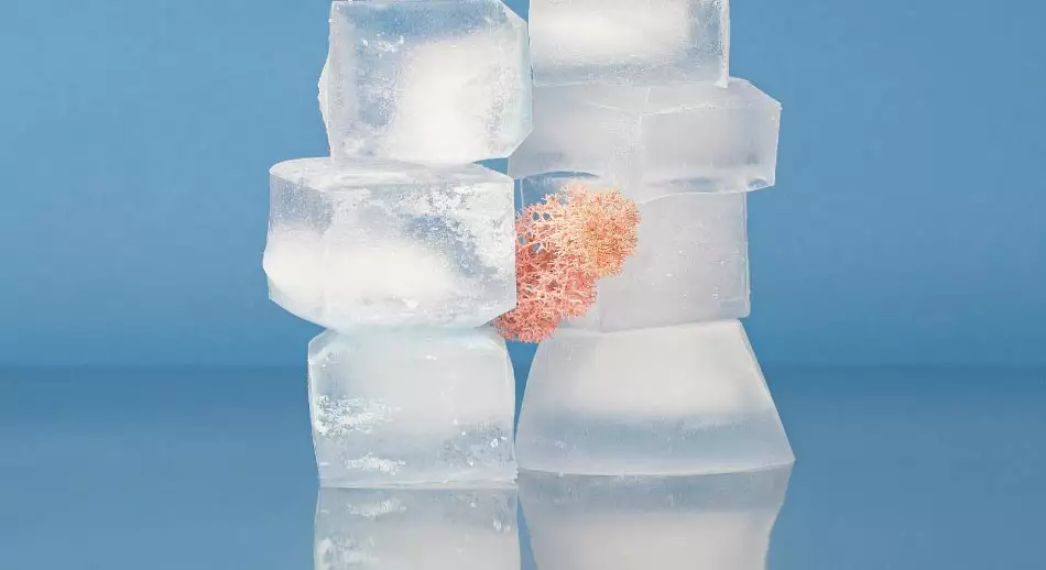 STOPPING-ICE. Sujeta-cubitos para hielos