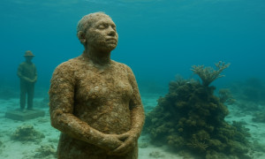 Miami revela un impactante santuario submarino que une arte y vida marina