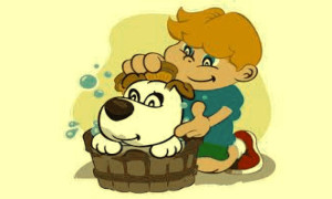 LAYSE – Lavadero de mascotas