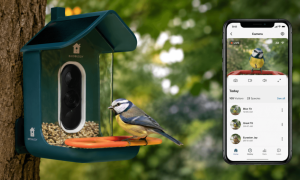 Bird Buddy: el comedero inteligente que revoluciona la observación de aves