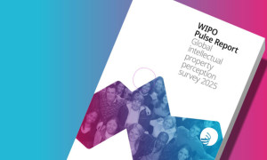 Mayor sensibilización y confianza en la Propiedad  Industrial