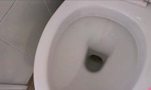 Escobilla oscilante para limpieza del inodoro